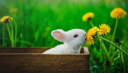 哈密伴游,定制QQ:3494206190微信:act1322